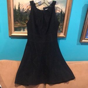 New York & Company Sleeveless Eyelet Black A Line lined Dress Size 8
